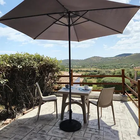 Daire Jej Loc Colle *